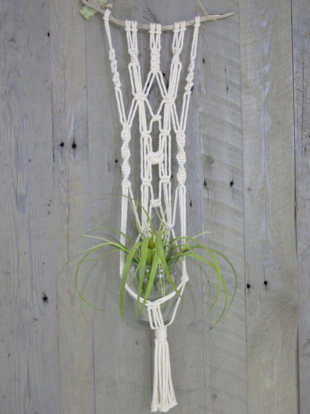 Twisted Knot Wall Plant Hanger