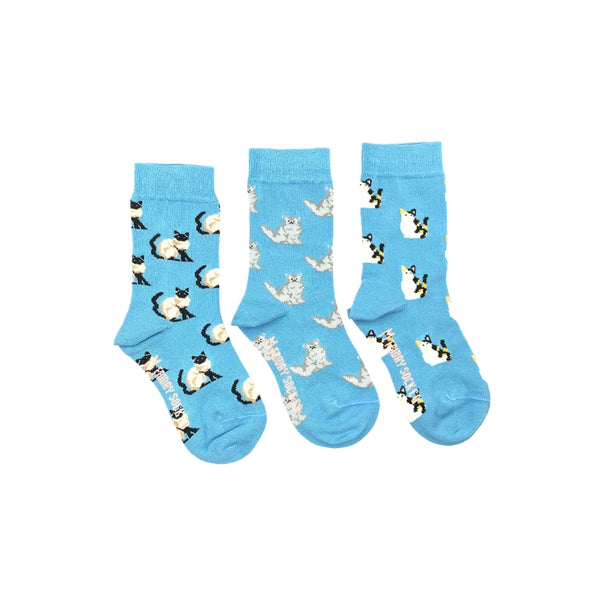 Kid's Socks By Friday Sock Co.