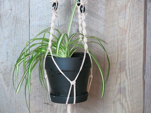 Macrame Plant Hanger
