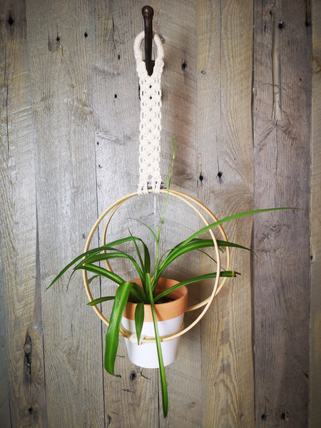 Macrame Hoop Plant Hanger