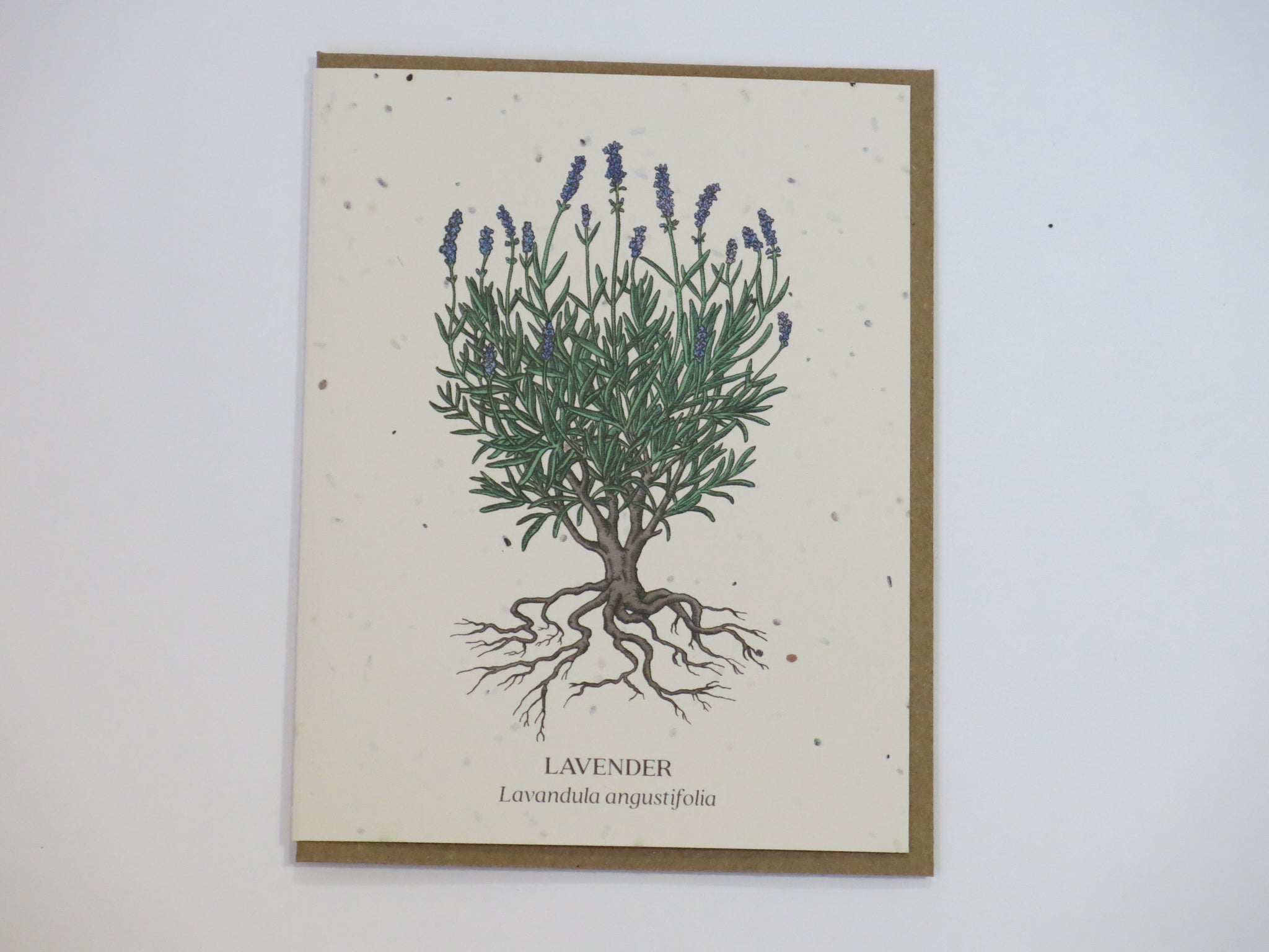 Plantable Greeting Cards