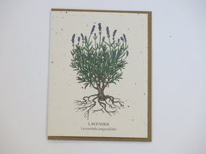 Plantable Greeting Cards