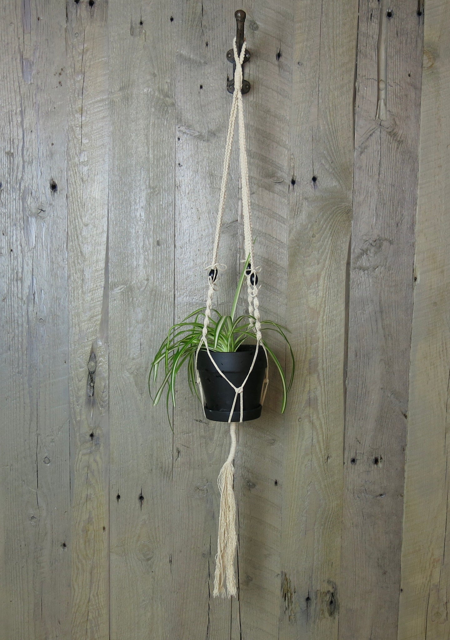 Macrame Plant Hanger