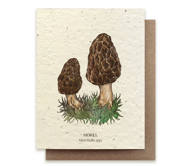 Plantable Greeting Cards